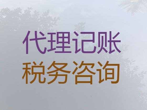 南昌市小企业代理记账-企业内审年审查账