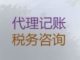 丽江市会计服务代理记账-公司注册