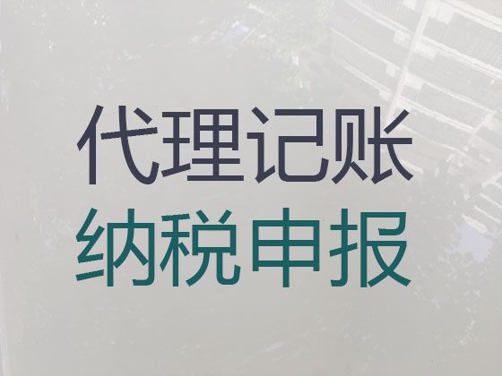 福州市小企业代理记账-财税疑难