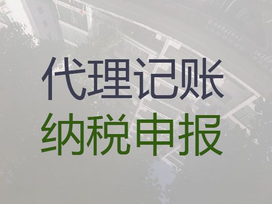 巴音郭楞记账公司代理-本地财税公司，避免财税风险