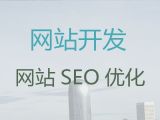 泸州市品牌网站开发建设@android软件开发，专业团队
