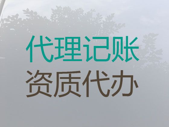 崇左市财务代理记账-财税公司，费用透明