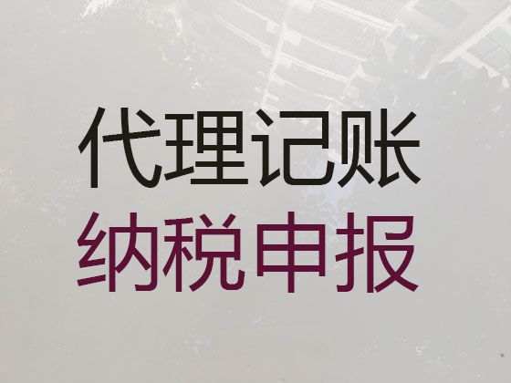 南京市代理做账公司-本地财税公司，避免财税风险