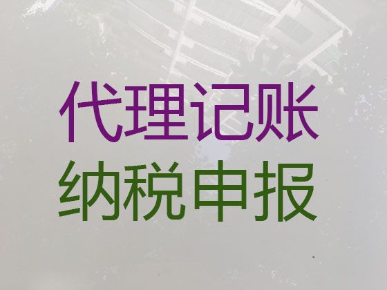 阿拉善盟代理记账报税服务-专业财税公司，一站式服务