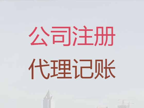 崇左市代记账服务-本地财务公司，专业诚信