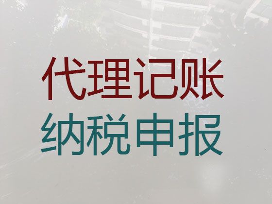 昌都市代理记账多少钱一个月-税务筹划，费用透明