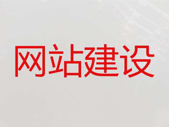 钦州市专业网站开发建设@AI数字人直播带货，多年专业建站经验