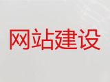 钦州市专业网站开发建设@AI数字人直播带货，多年专业建站经验