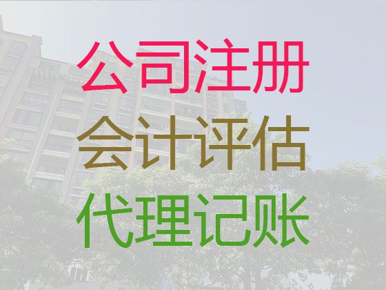 池州市财税代理记账-工商年检