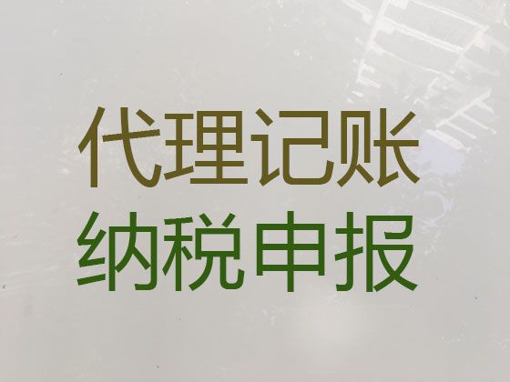 池州市代理记账代办-让企业经营更简单