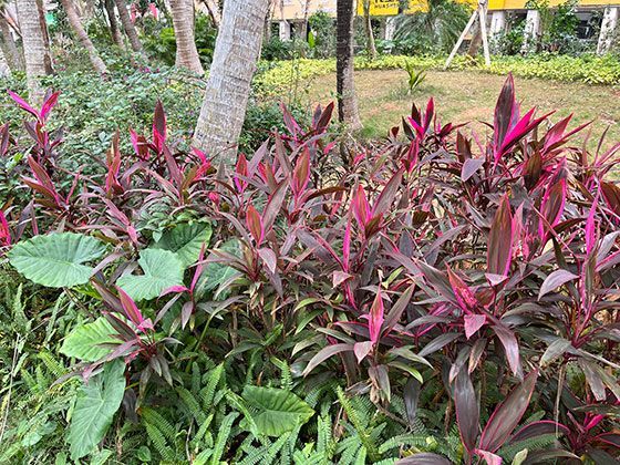 瀑布形成的三种地质动力：差异侵蚀、断层与冰川作用解析