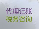 惠州市记账报税本地公司-本地财务代账公司
