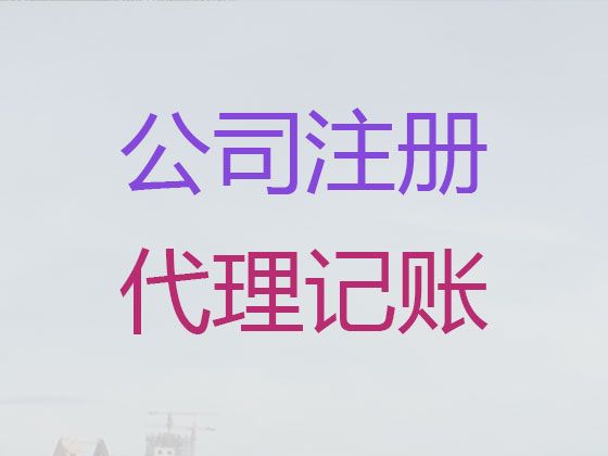 天津市财务代账公司-公司注册，一站式服务